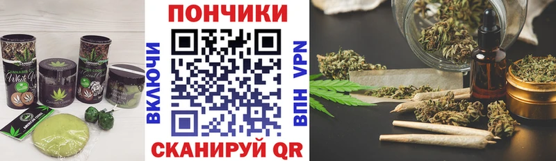 цена наркотик  Подпорожье  Canna-Cookies конопля 