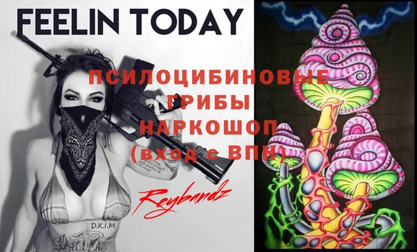 ECSTASY Абдулино