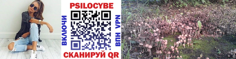цена наркотик Подпорожье Псилоцибиновые грибы Magic Shrooms